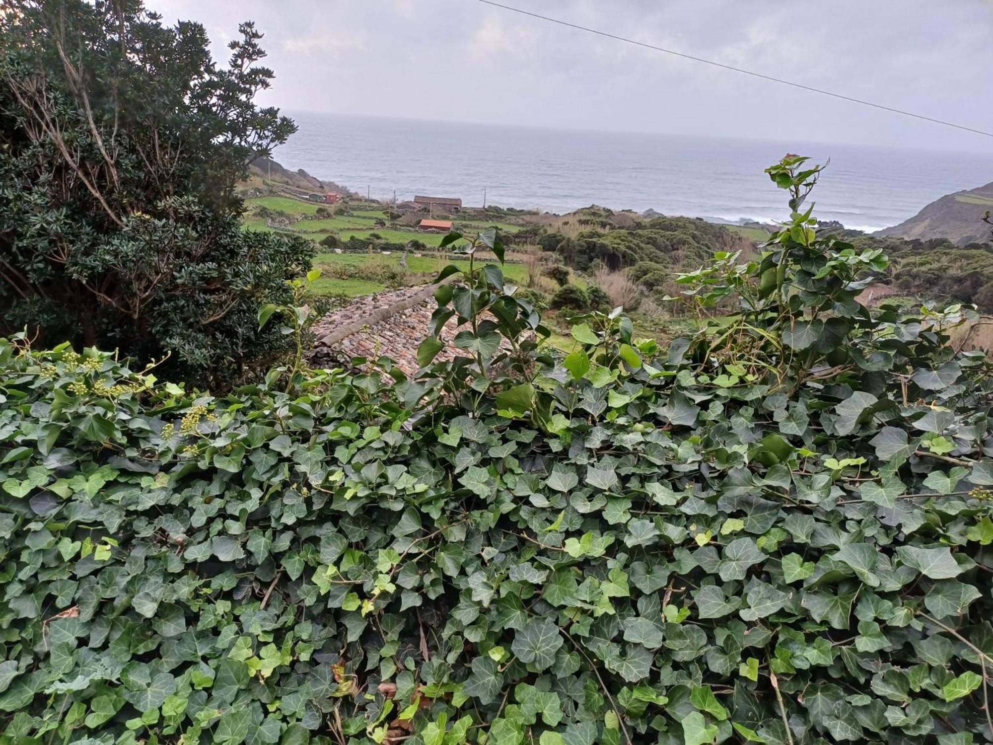Casa Da Queijaria Villa Faja Grande ภายนอก รูปภาพ
